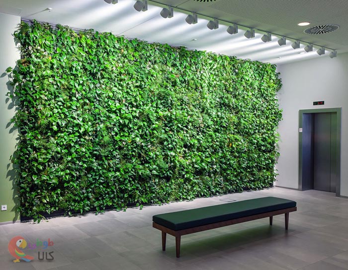 عکس چمن مصنوعی دیواری