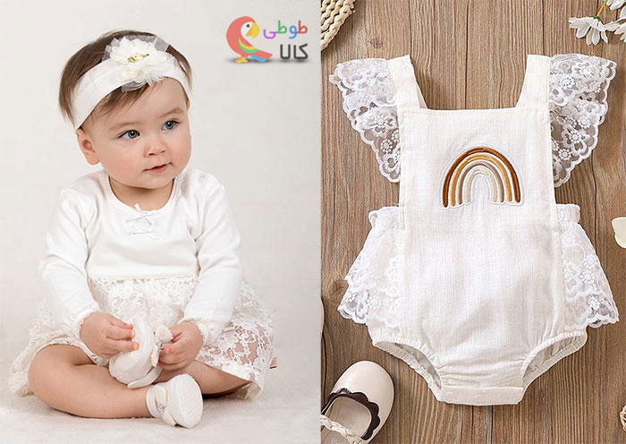 بادی نورادی مجلسی