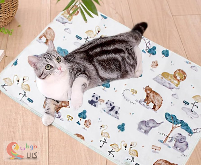 تشک تعویض کودک برای حیوانات