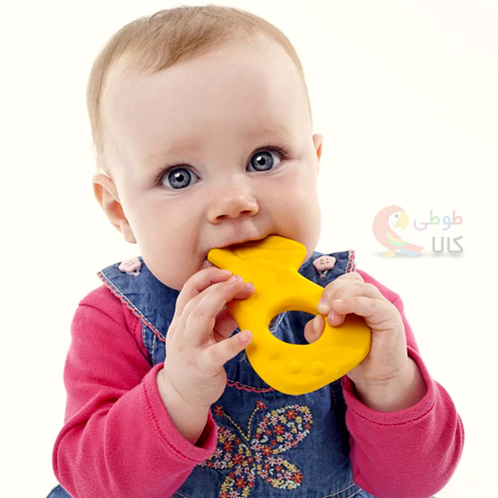 خرید دندانگیر کودک