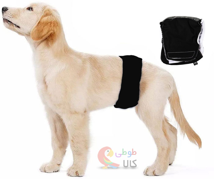 عکس پوشک سگ نر