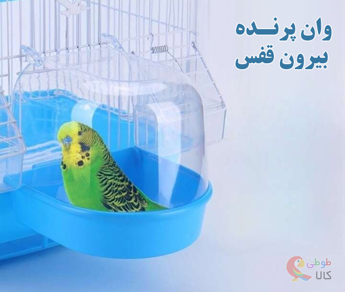 وان حمام بیرون قفس