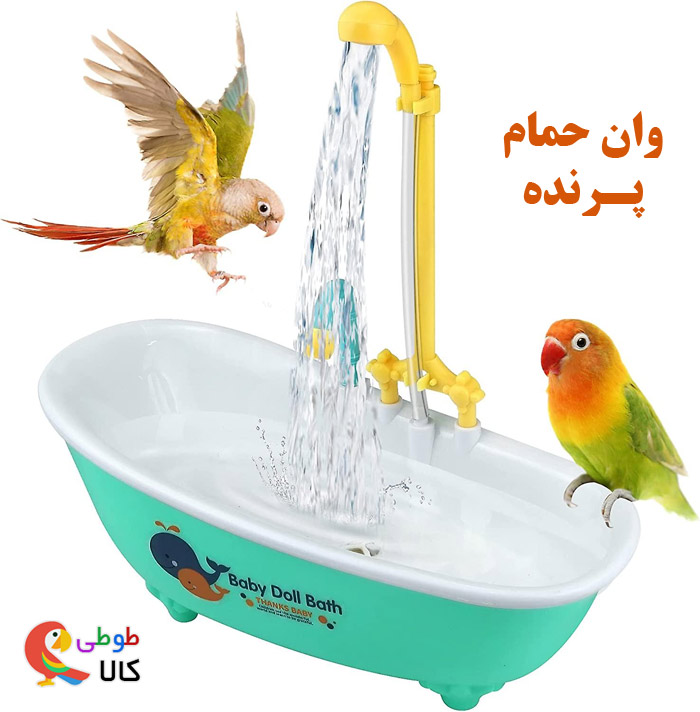 وان حمام پرندگان