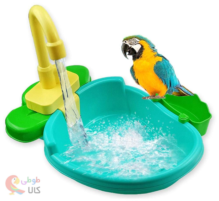 آبتنی و حمام کردن طوطی در وان حمام طوطی