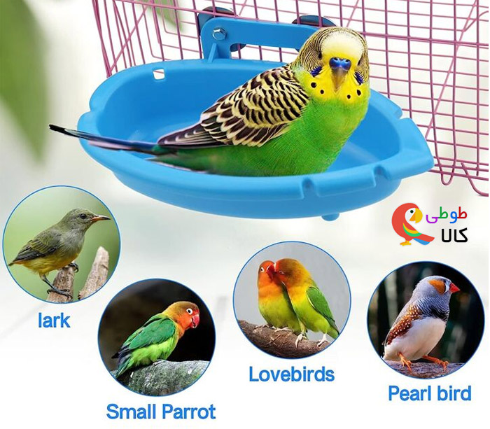 راهنمای خرید وان حمام پرندگان