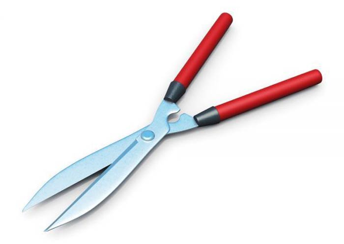 قیچی باغبانی شمشاد زن