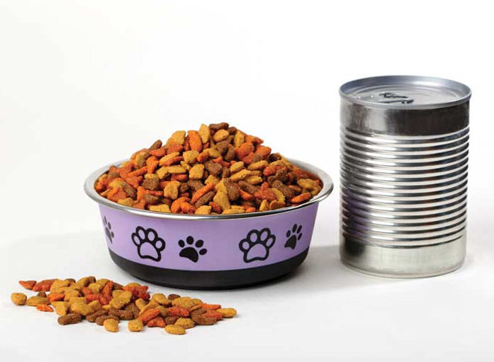 غذای خشک یا غذای کنسروی گربه