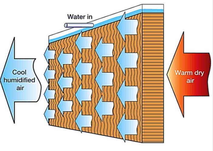نحوه عملکرد پد کولر سلولزی