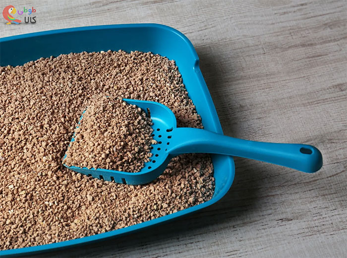 خاک گربه توده شونده