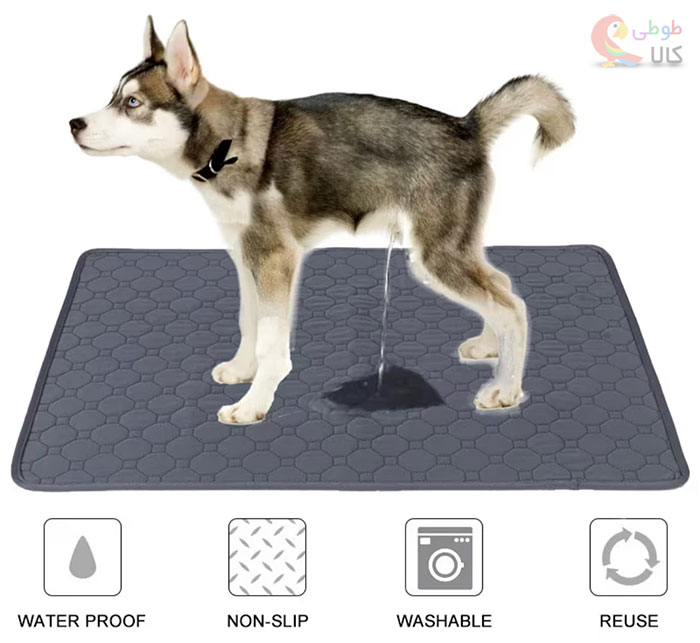 ویژگی های پد ادرار سگ