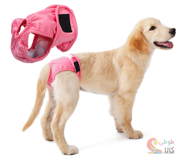 پوشک سگ کامل یا پوشک سگ ماده