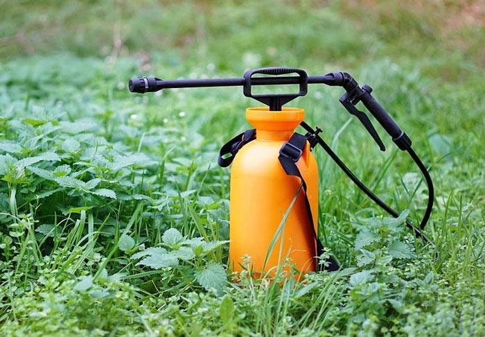 راهنمای خرید سمپاش یاغبانی