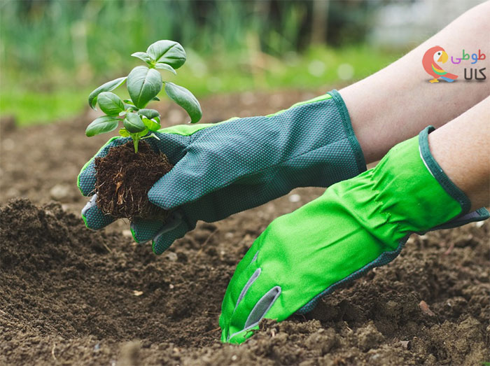 راهنمای خرید دستکش باغبانی