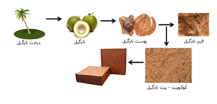 کوکو پیت چگونه ساخته می شود