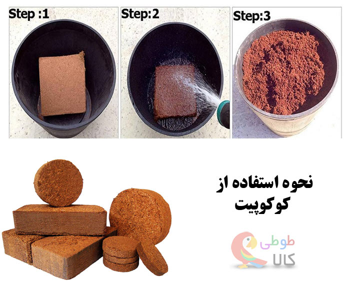 نحوه استفاده از کوکوپیت