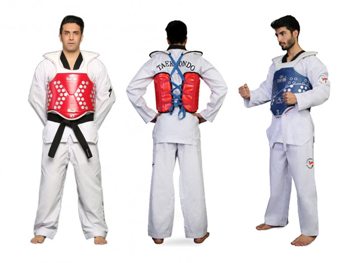 هوگو تکواندو چیست