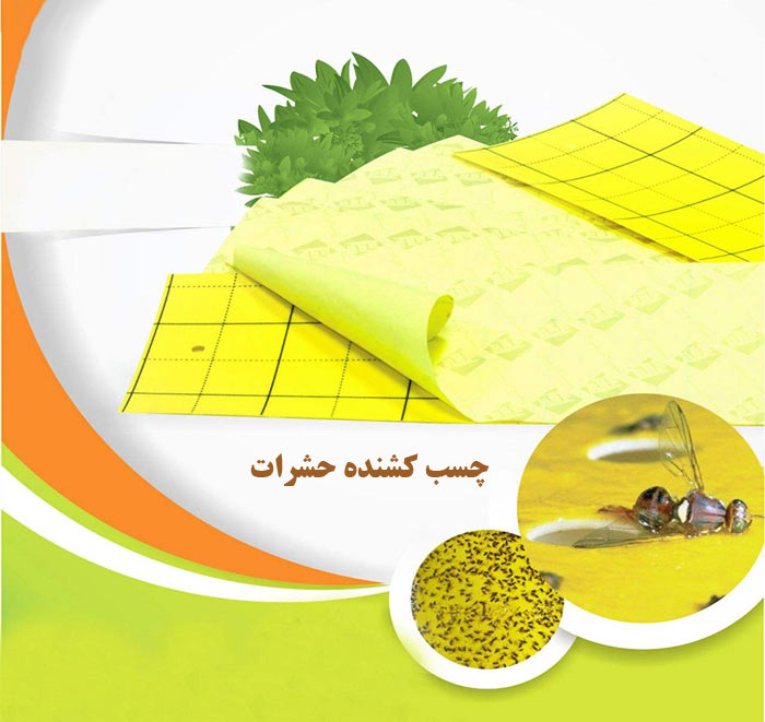 چسب کشنده حشرات