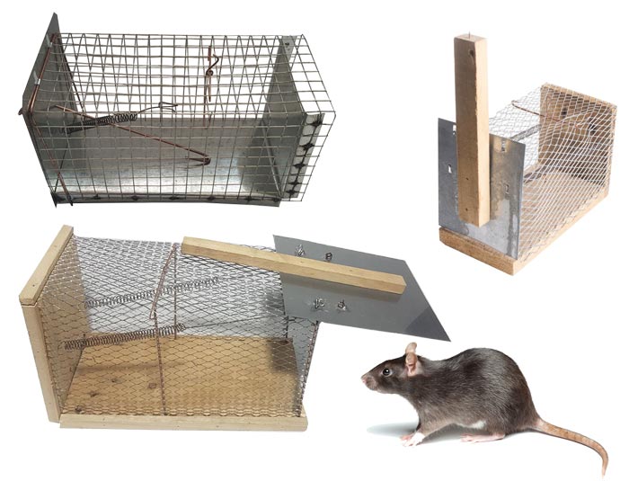 تله موش زنده گیر