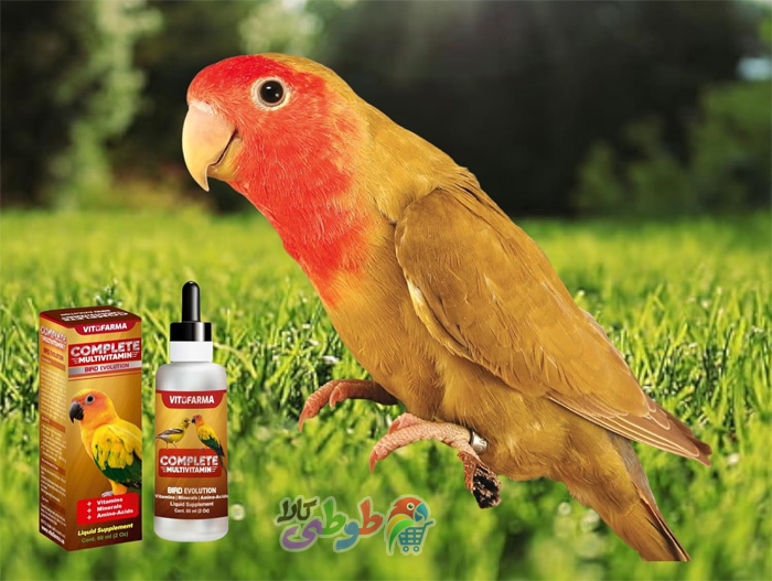 قطره مولتی ویتامین پرندگان