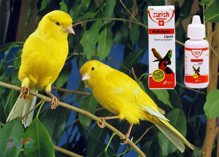 مولتی ویتامین قناری