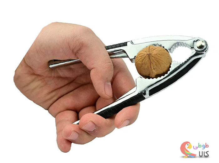 گردو شکن انبری