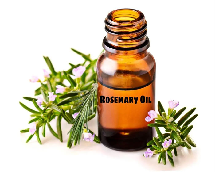 روغن رزماری اصل