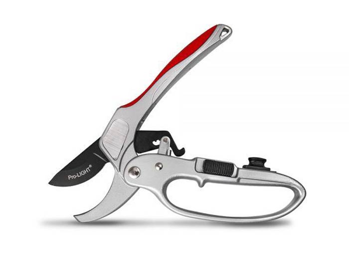 قیچی باغبانی جغجغه ای