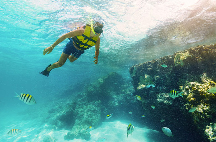 اسنورکلینگ