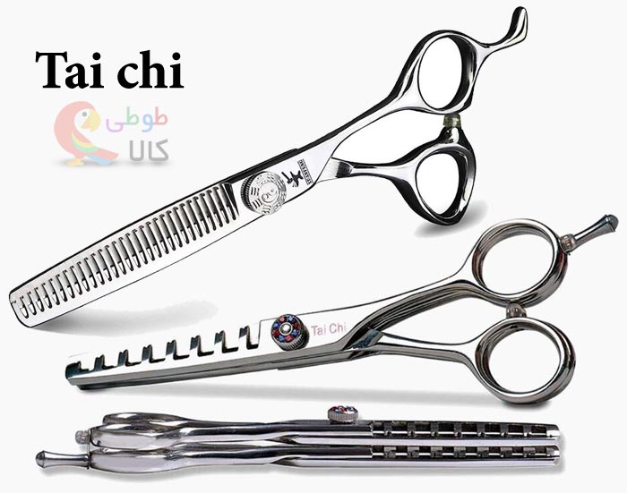 قیچی پیتاز تایچی