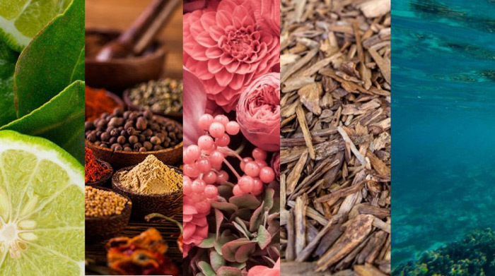 انواع رایحه عطر ها