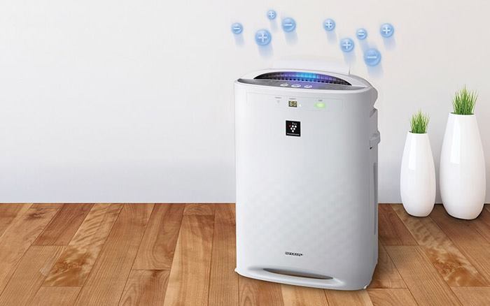 air cleaner