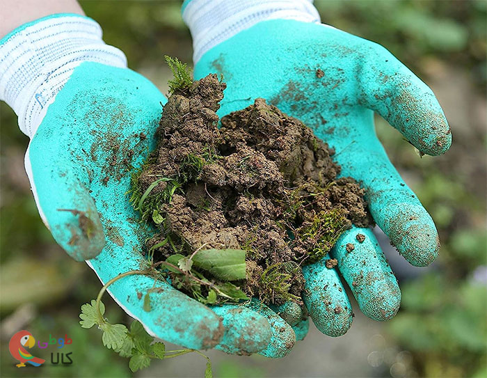 دستکش باغبانی ضد خاک