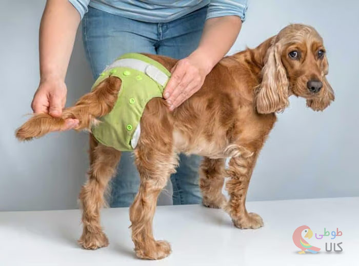 عکس پوشک سگ