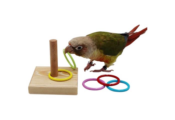 اسباب بازی فکری پرنده