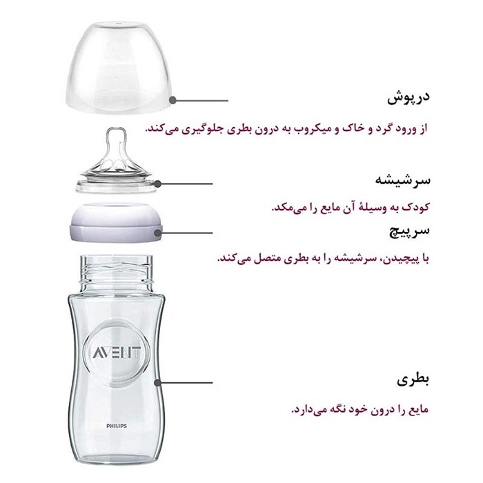 اجزا تشکیل دهنده شیشه شیر کودک