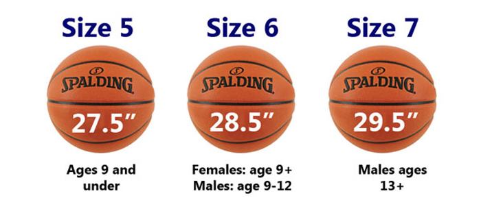 سایز های مختلف توپ بسکتبال