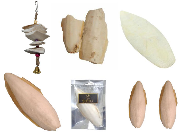 خرید انواع مکمل کف دریا برای پرندگان