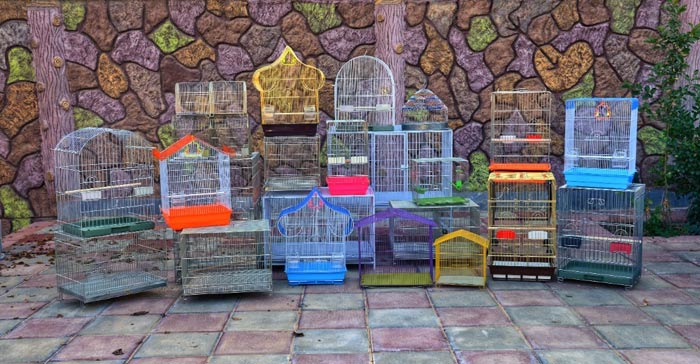 انواع قفس پرنده
