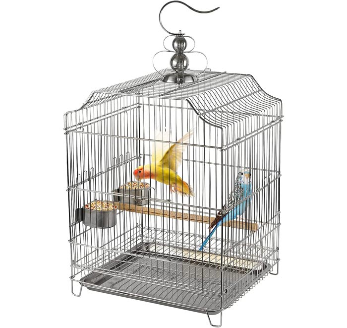 راهنمای خرید قفس پرنده