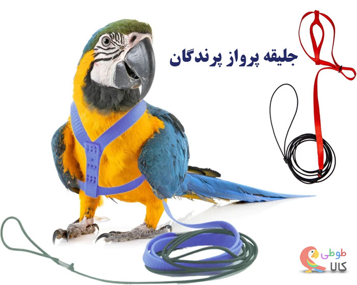 راهنمای خرید جلیقه پرواز پرندگان