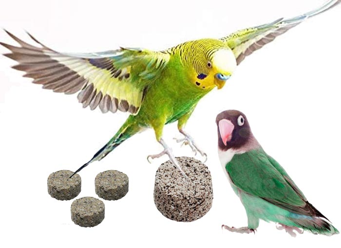 بلوک معدنی پرندگان