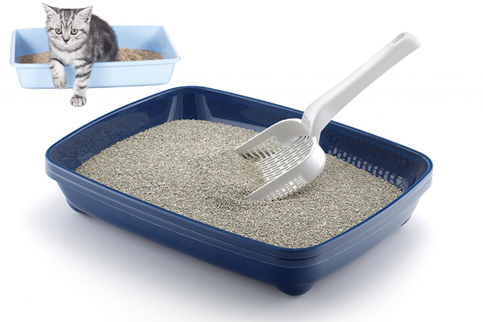 عکس خاک بستر گربه