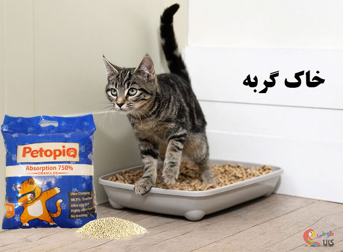 خاک گربه چیست