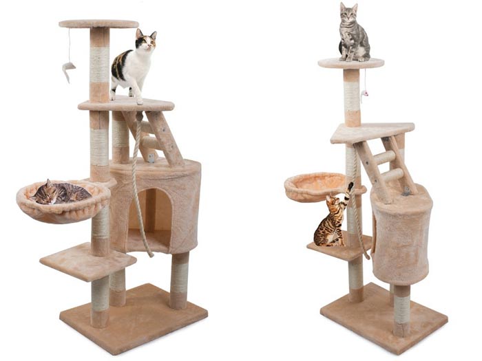 درخت اسکرچر