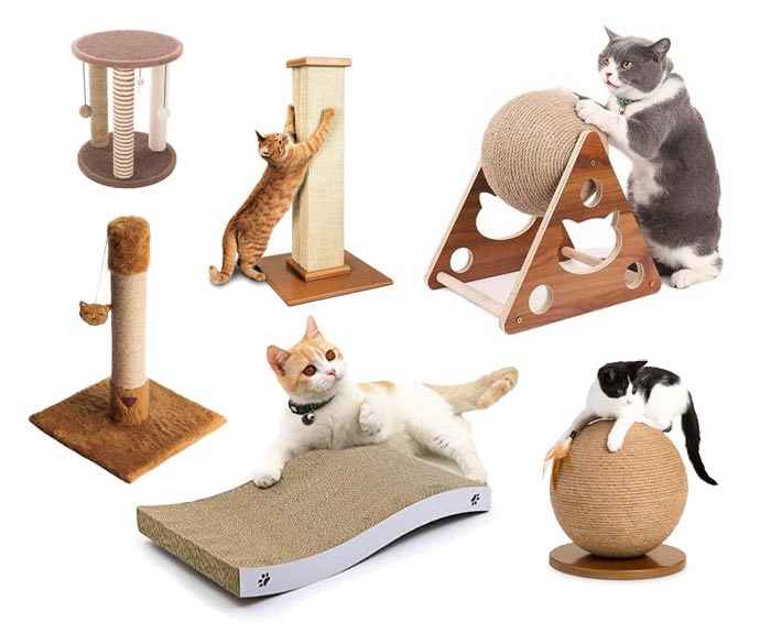 راهنمای خرید اسکرچر گربه