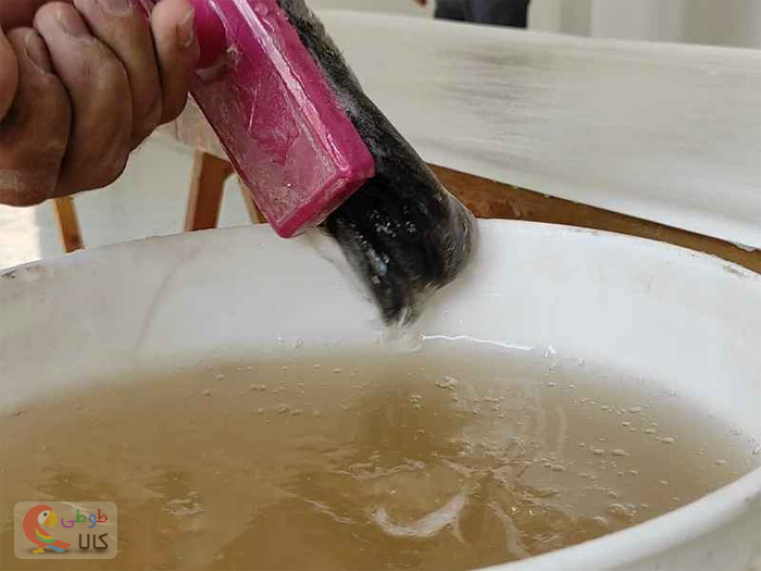 چسب کاغذ دیواری با آب سرد