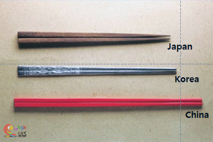 انواع مختلف چاپستیک