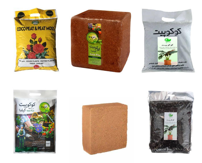 خرید بهترین مدل های کوکوپیت