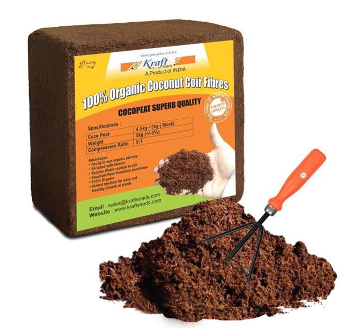 کوکوپیت چیست