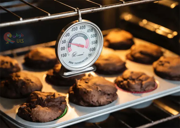 استفاده از دماسنج فر